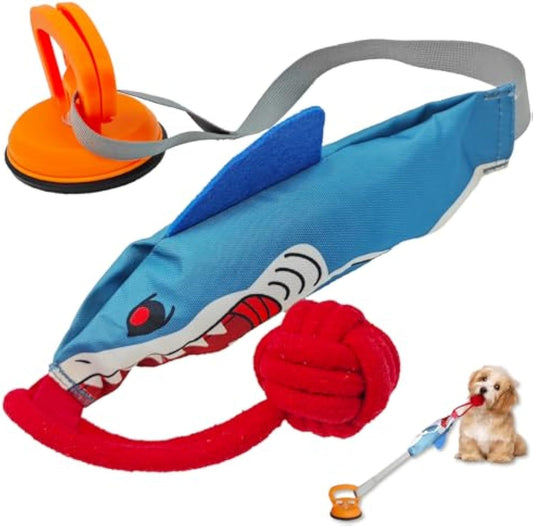 Jouet de traction pour chien couineur en forme de requin interactif avec ventouse pour les occuper Jouets en corde durables pour chiens de petite et moyenne taille pour jouer à l'intérieur ou à l'extérieur