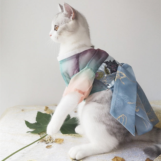 Spring Breeze Cat Hanfu ropa antigua pérdida de cabello sección delgada