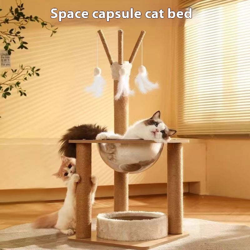 Jouet pour chat avec cadre d'escalade intégré, capsule spatiale, fournitures pour animaux de compagnie