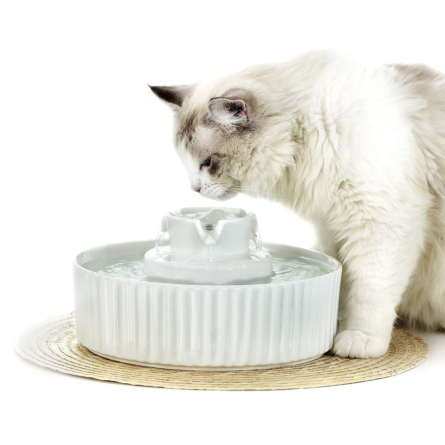 Cake ceramic pet water dispenser