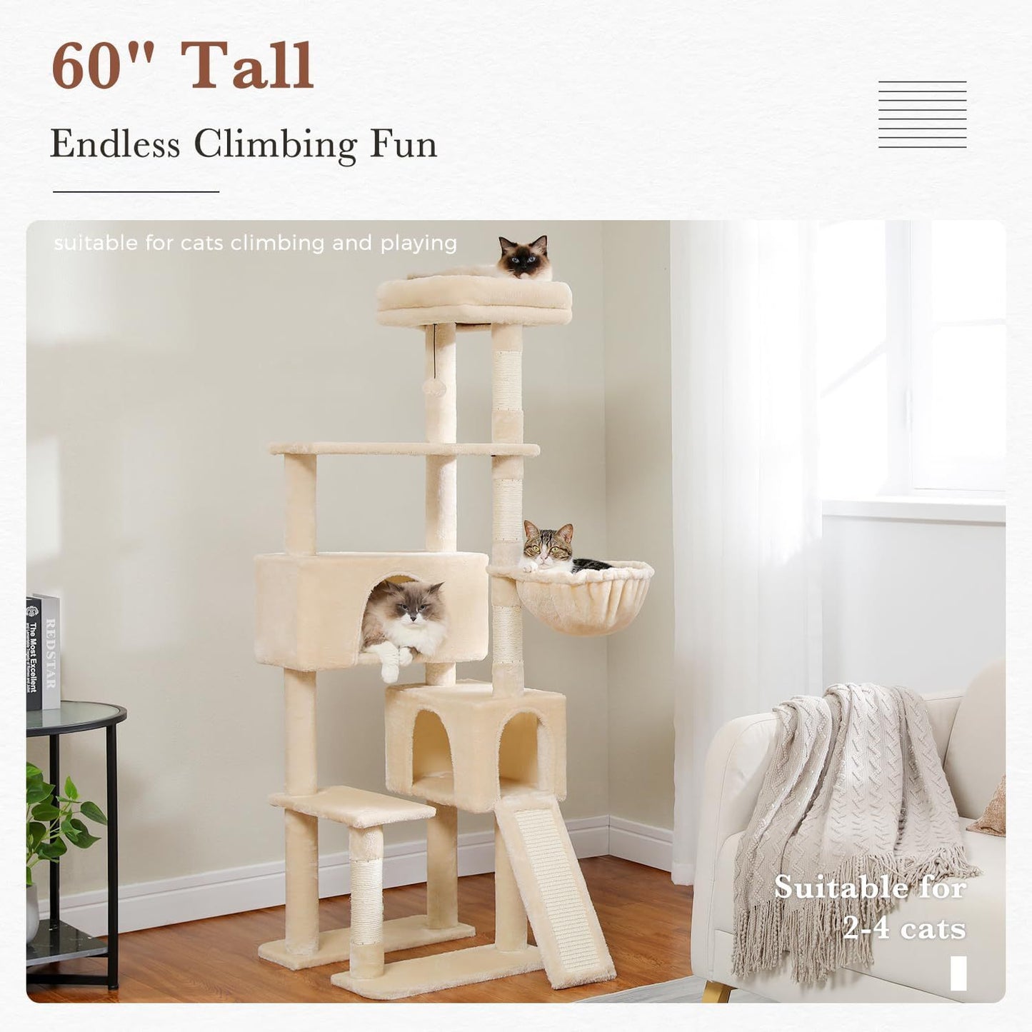 Arbre à chat à plusieurs niveaux de 60,62 pouces pour chats d'intérieur avec griffoir recouvert de sisal, condo confortable pour chat, perchoir supérieur rembourré pour chats d'intérieur