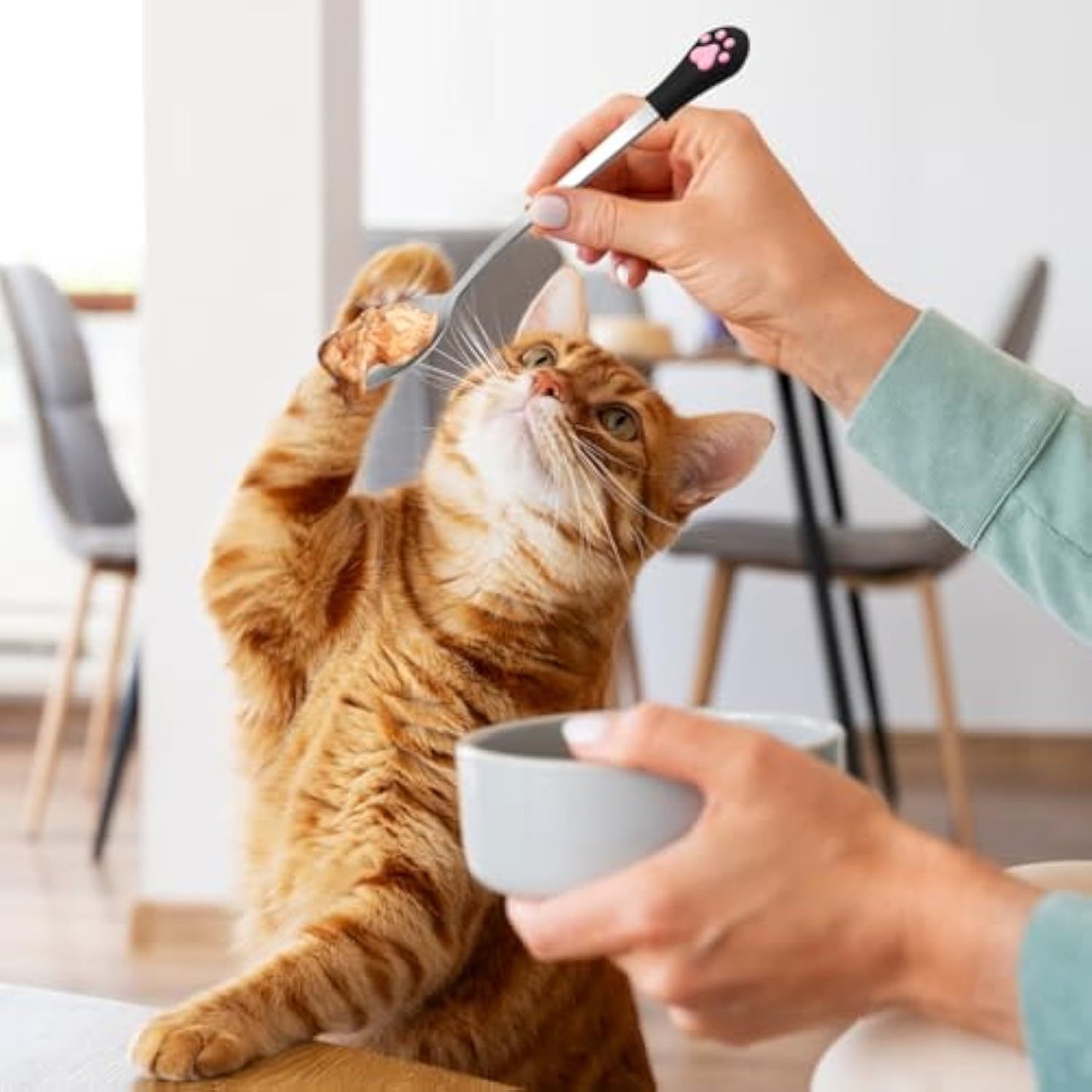 2 cucharas para perros y gatos, cuchara de acero inoxidable para comida húmeda, cuchara de mango largo para comida de gatos, cuchara para comida de perros y gatos, color blanco y negro