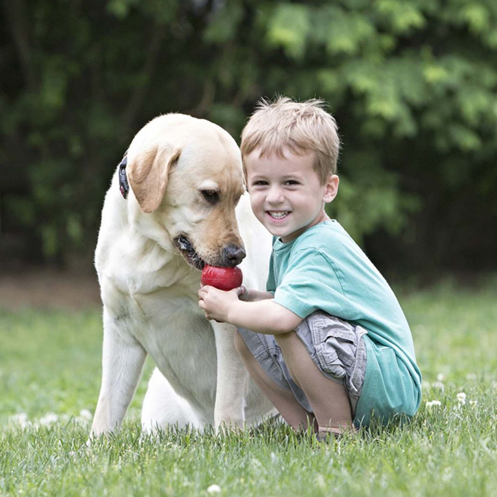 Suministros para mascotas, juguete de goma para perros con fugas de alimentos resistente a mordeduras de calabaza