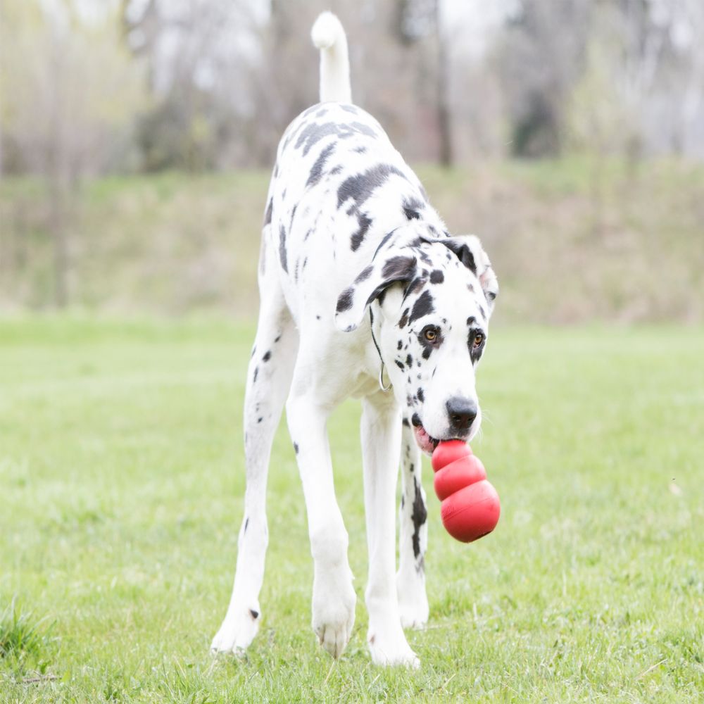 Suministros para mascotas, juguete de goma para perros con fugas de alimentos resistente a mordeduras de calabaza