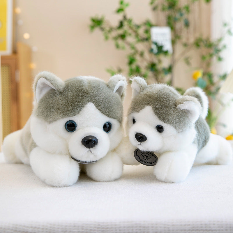 Husky Doll Plush Toys