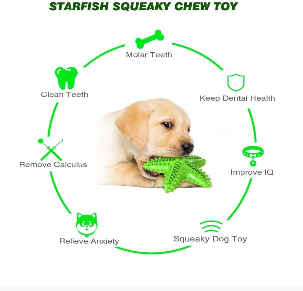 Sounding Starfish  The Natural Toothbrush For Small And Medium Dogs Starfish Natural Tooth Brush Teeth Cleaning