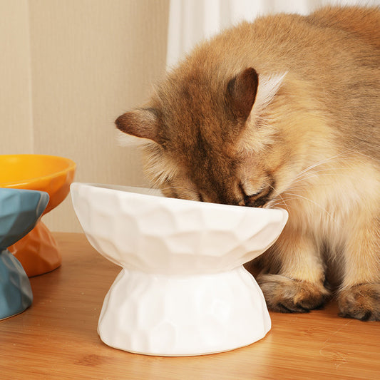 Bol pour chat en céramique avec pieds hauts pour protéger les vertèbres cervicales des animaux de compagnie