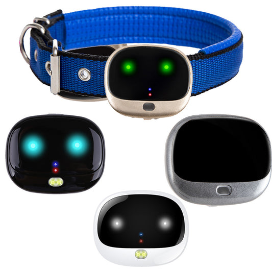 Todo el collar para perros con localizador de mascotas de Netcom