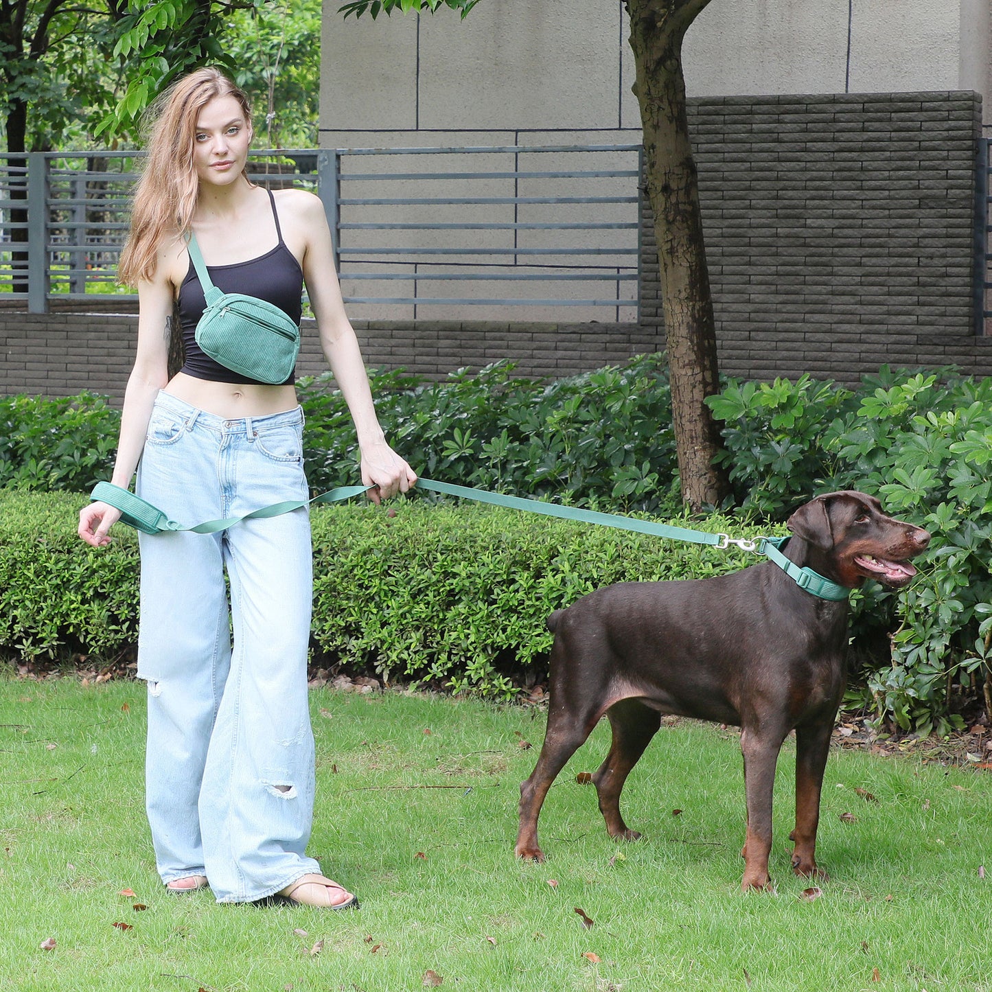 Sac à dos pour chien, poitrine et dos, costume, sac de marche pour chien