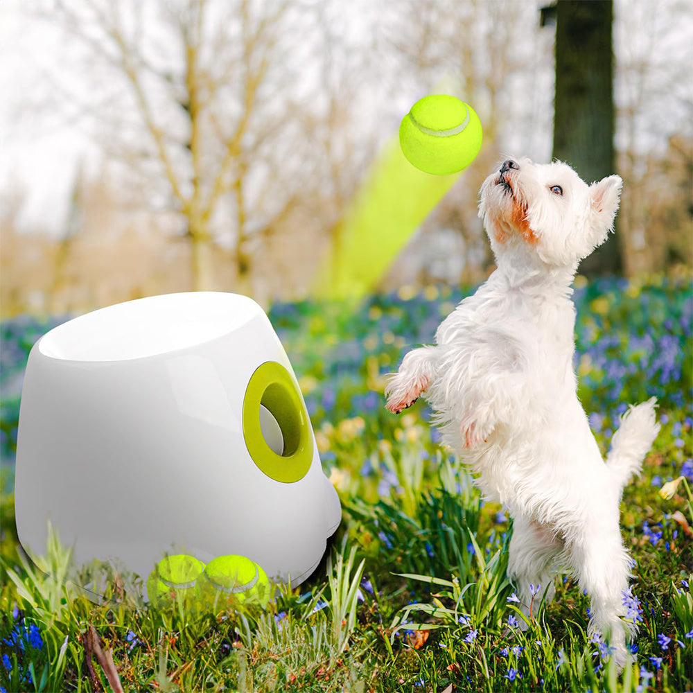 Machine de Tennis électrique automatique AFP 3196, Mini lanceur de Machine à lancer léger pour animaux de compagnie