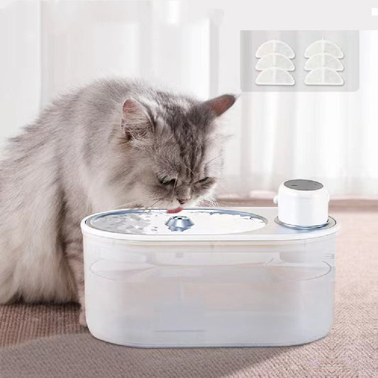 Distributeur d'eau débranché pour chiens et chats, circulation automatique, eau pour animaux de compagnie