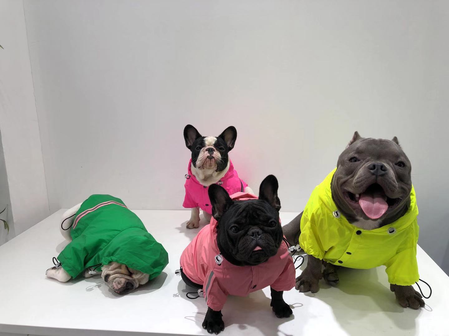 Chubasquero impermeable reflectante para mascotas