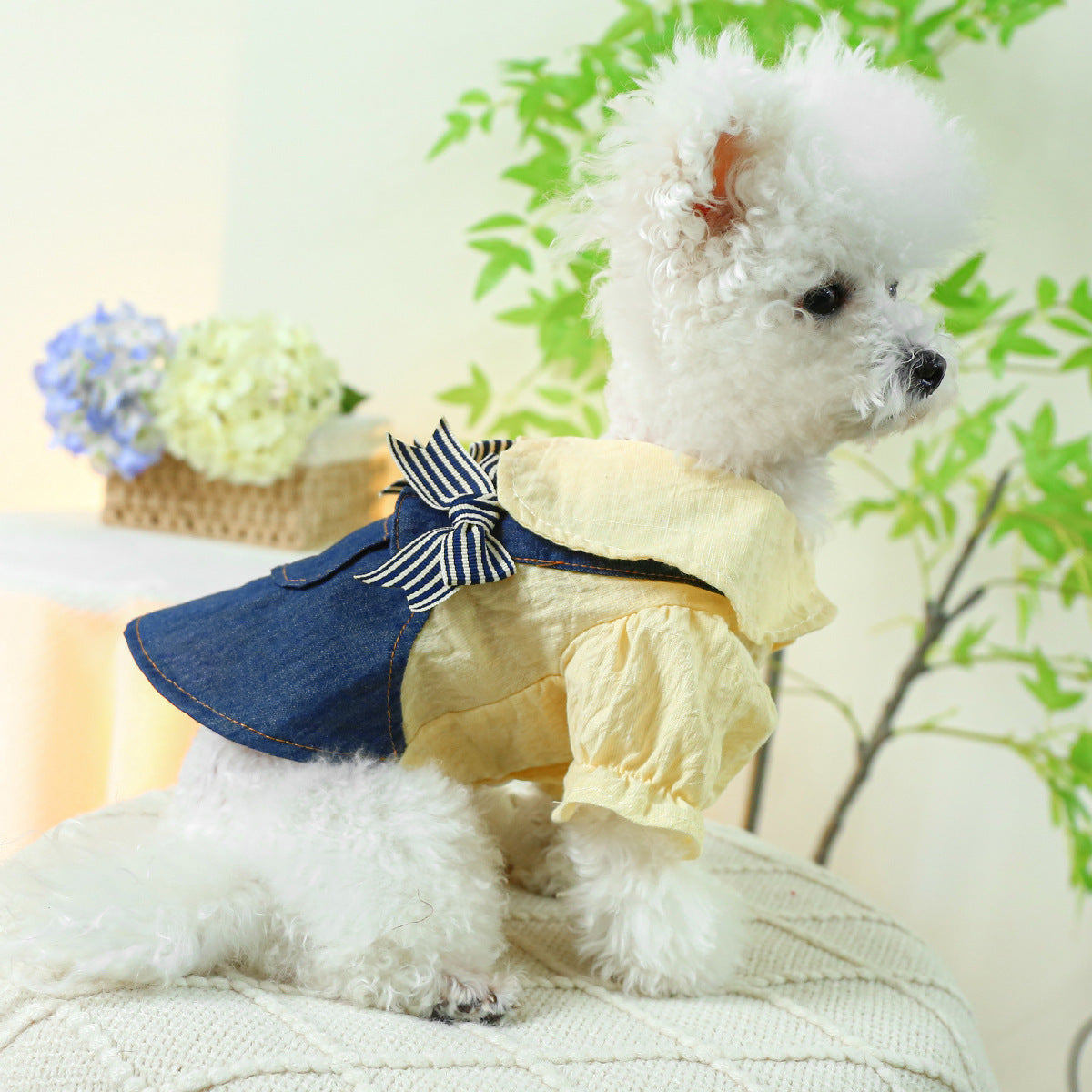 Bow Student Blue And White Bow Suspender Skirt