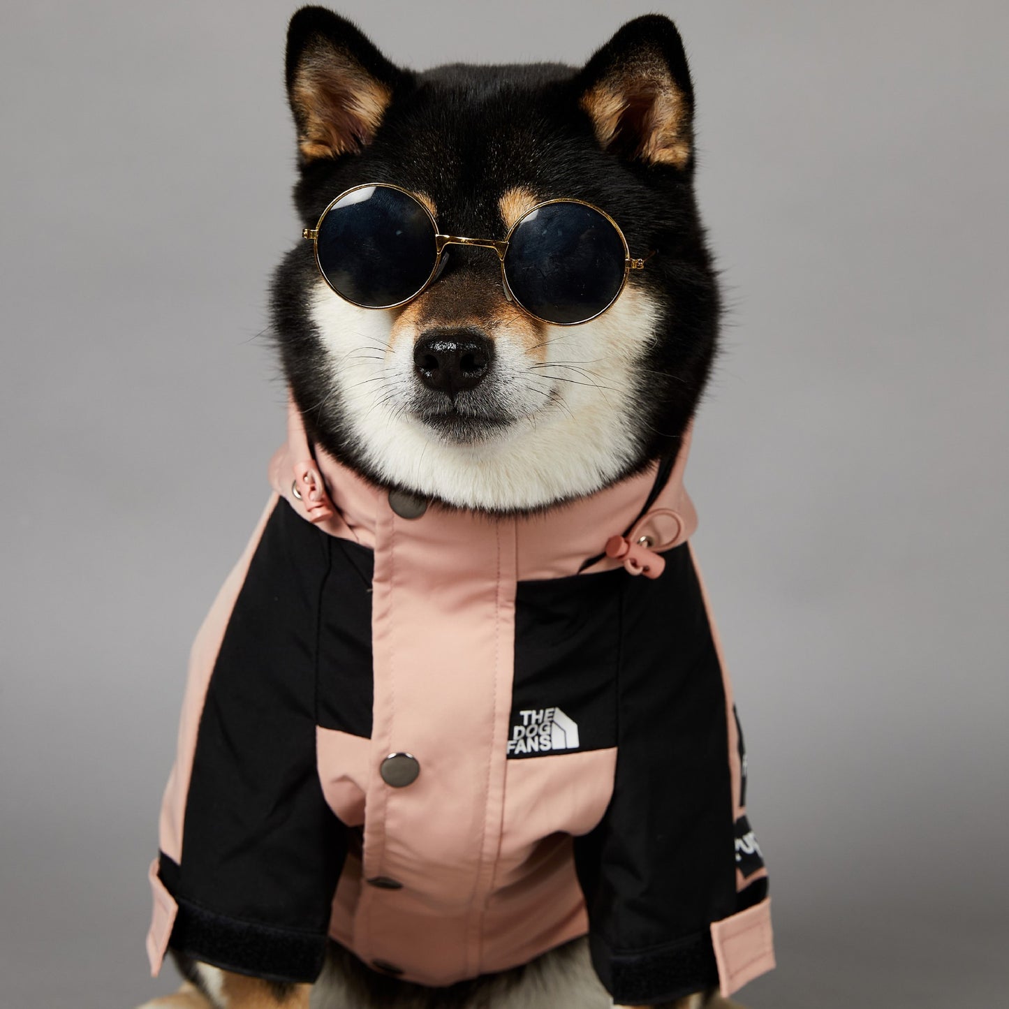 Chaqueta impermeable para perros grandes resistente al viento y a la lluvia