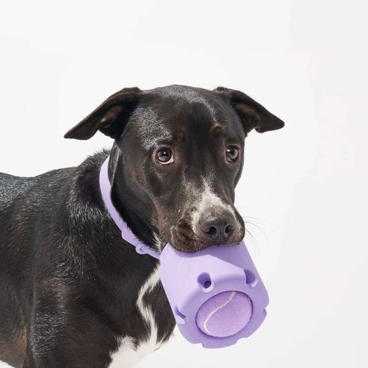 Coupe de tennis pour chien, jouets résistants aux morsures en caoutchouc naturel