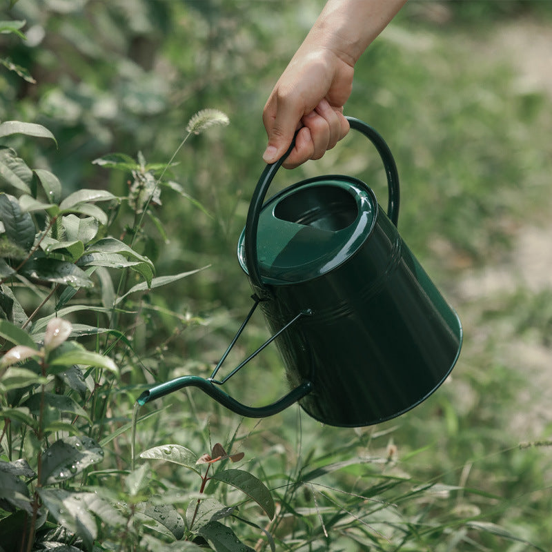 Arrosoir galvanisé vintage, outil de jardin