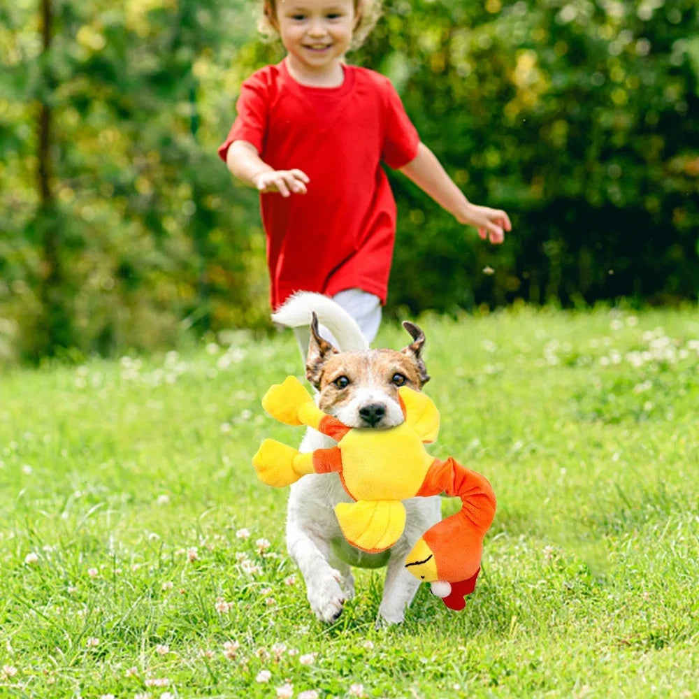 Pets Dog Toys Screaming Chicken Sound Toy Puppy Bite Resistant Chew Toy Interactive Squeaky Dog Toy Puppy Dog Accessories