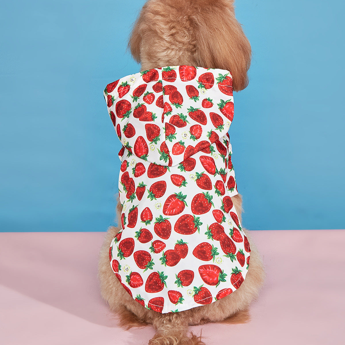 Vêtements imperméables pour chiens à motif de fraises pour le printemps et l'été