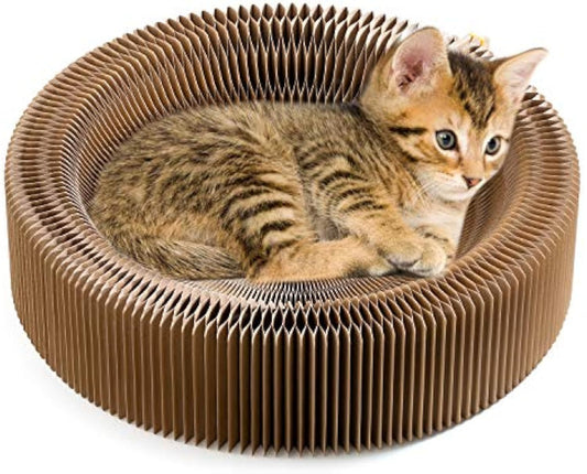 Cama plegable para rascar gatos, cama de cartón para gatos, almohadilla rascadora para mascotas corrugada, cama redonda para rascar gatos, nido para interiores, gatitos grandes y grandes 