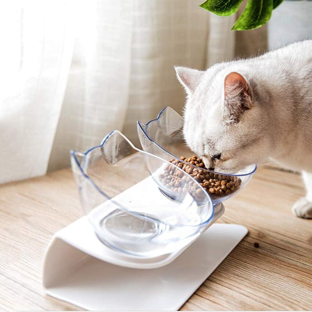 Double bol antidérapant pour chat avec support surélevé, nourriture pour animaux de compagnie, mangeoire pour chat, protection des vertèbres cervicales, bol pour chien, produits transparents pour animaux de compagnie