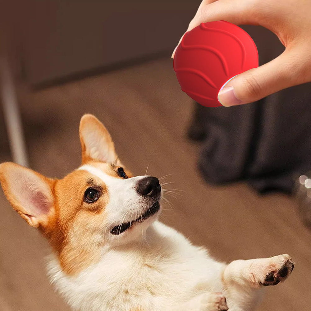 Pelota eléctrica para gatos con rebote automático, juguete interactivo divertido de 2 cm para entrenamiento de gatos, juguete para gatitos que se mueve solo para interiores