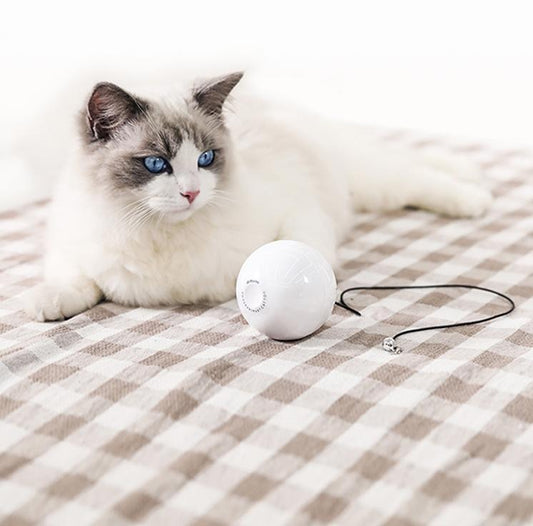 Balle de jouet interactive automatique intelligente pour chat