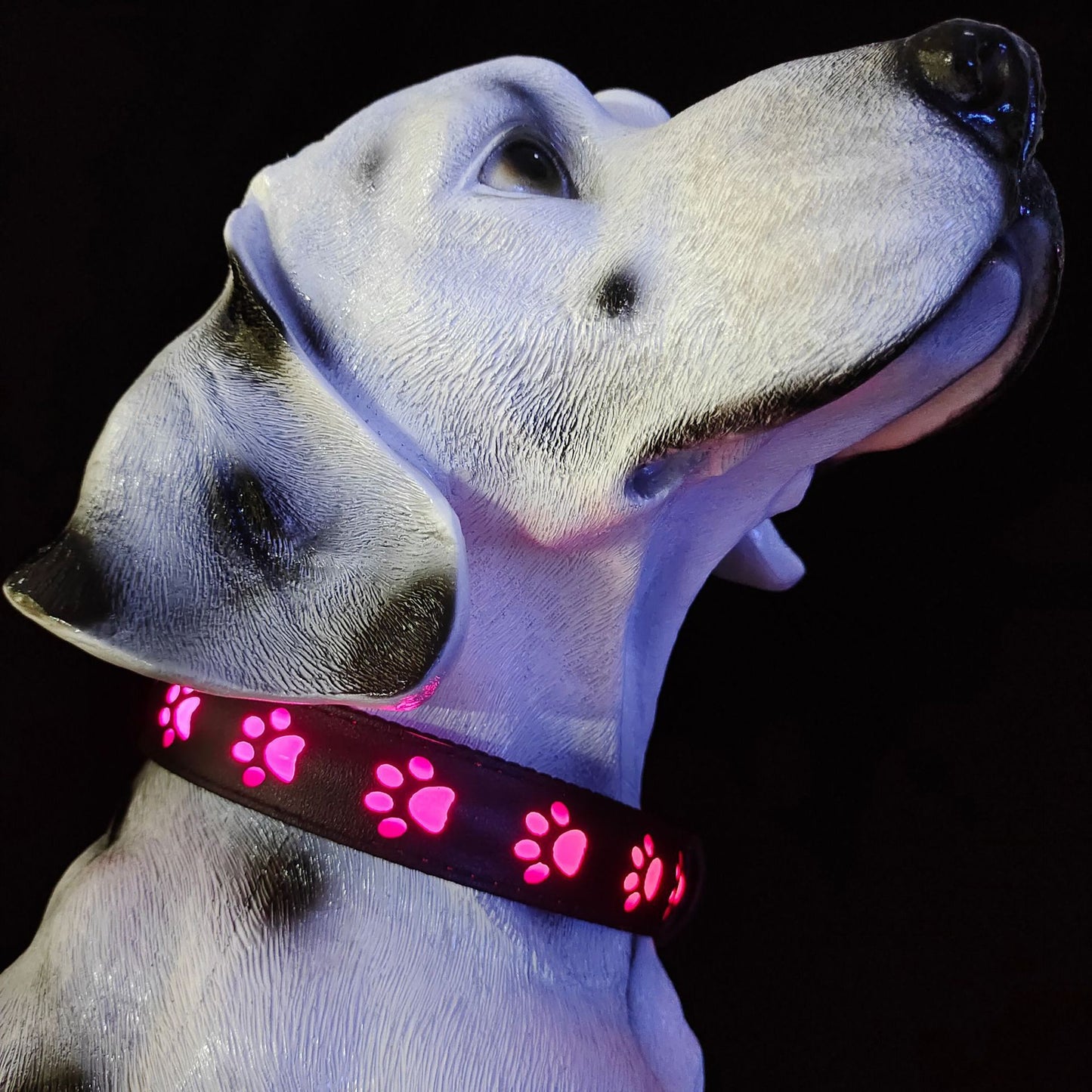 7 colores en un collar luminoso LED con carga USB, tracción luminosa para perro y gato