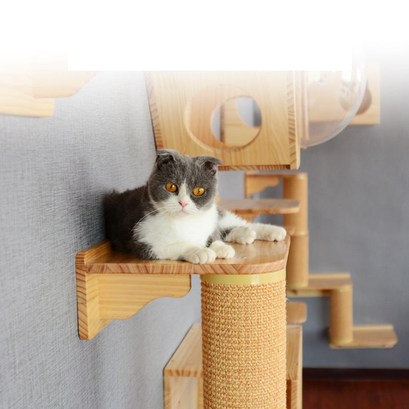 Poste à gratter en bois massif pour chat, trou de perçage, jouet d'arbre à chat de luxe