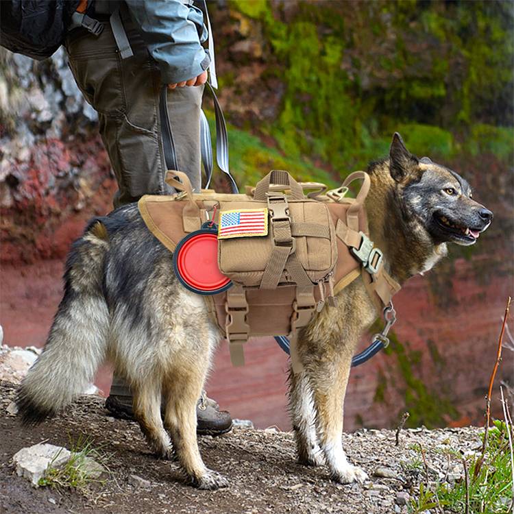 Malinois perro grande perro mano sujetando cuerda pecho chaleco ropa de combate correa para perro mochila para perro correas de entrenamiento especiales para salir