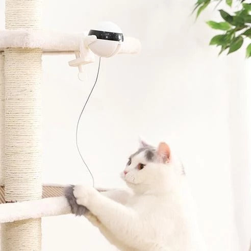 Juguete para gatos con movimiento electrónico, juguete interactivo para gatos