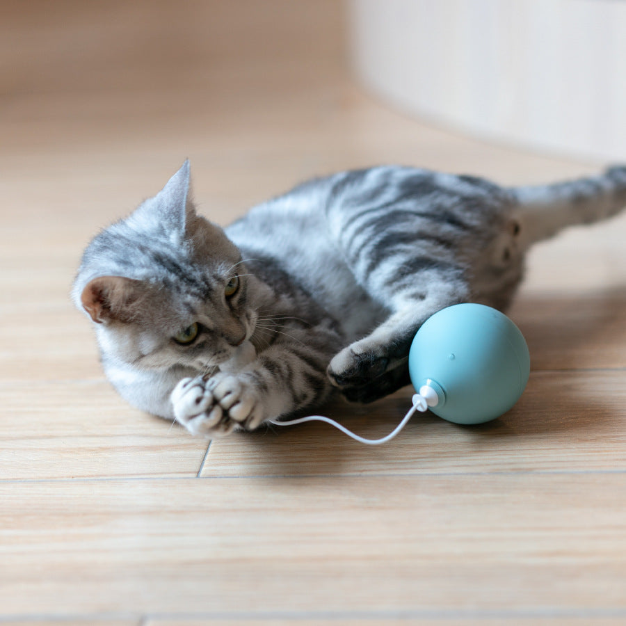 Juguete eléctrico para gatos divertido