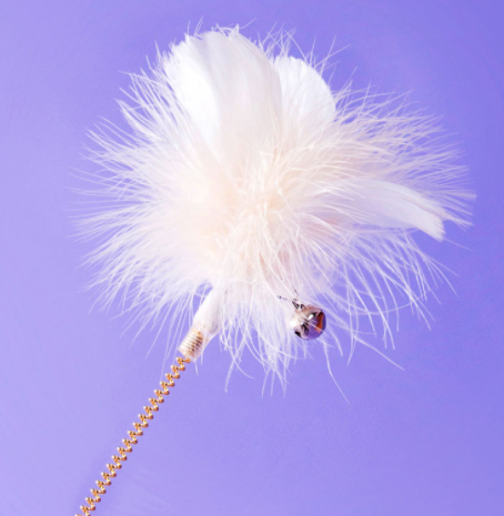 Collier en plumes pour chat, bâton amusant avec cloche attachée au cou, jouet pour chaton résistant aux morsures, auto-guérison