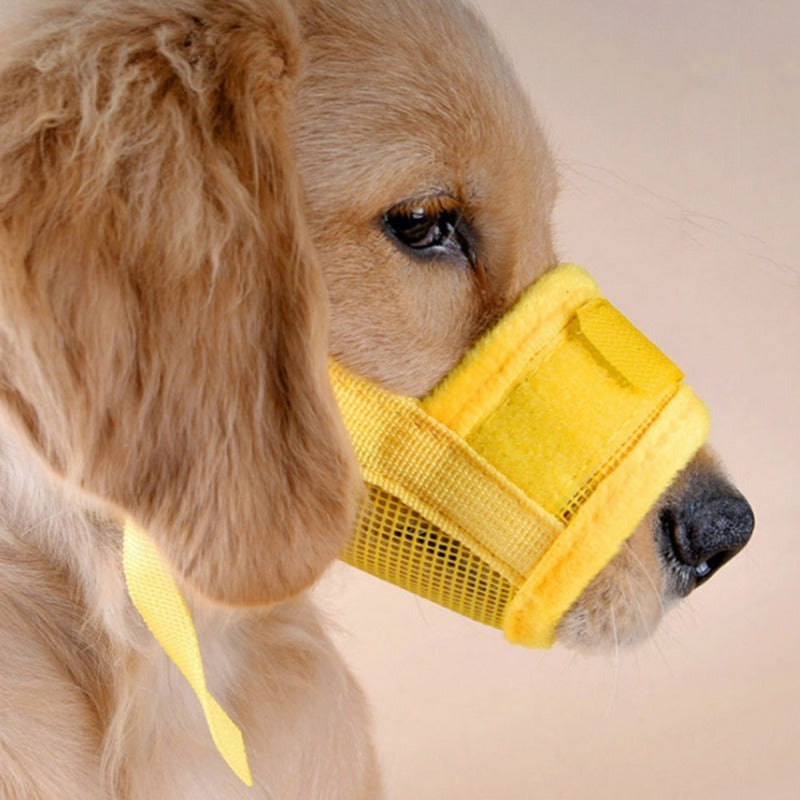 Masque ajustable pour animaux de compagnie sans morsure