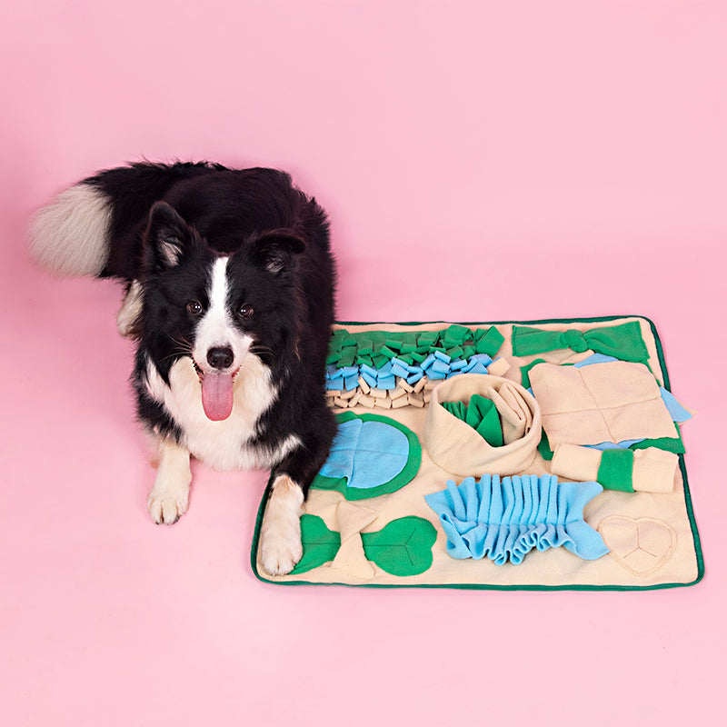 Tapis à renifler pour chiens, couverture d'alimentation nasale, tapis à renifler pour jeux interactifs, jouets d'enrichissement de puzzle pour animaux de grande, petite et moyenne taille