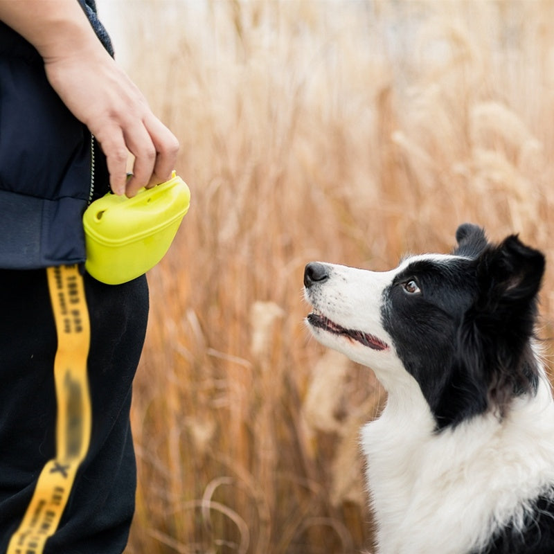 Sac de taille portable pour dressage de chiens, friandises, appâts pour chiens, obéissance, agilité, pochette de rangement pour aliments en plein air, sacs de taille pour récompenses alimentaires