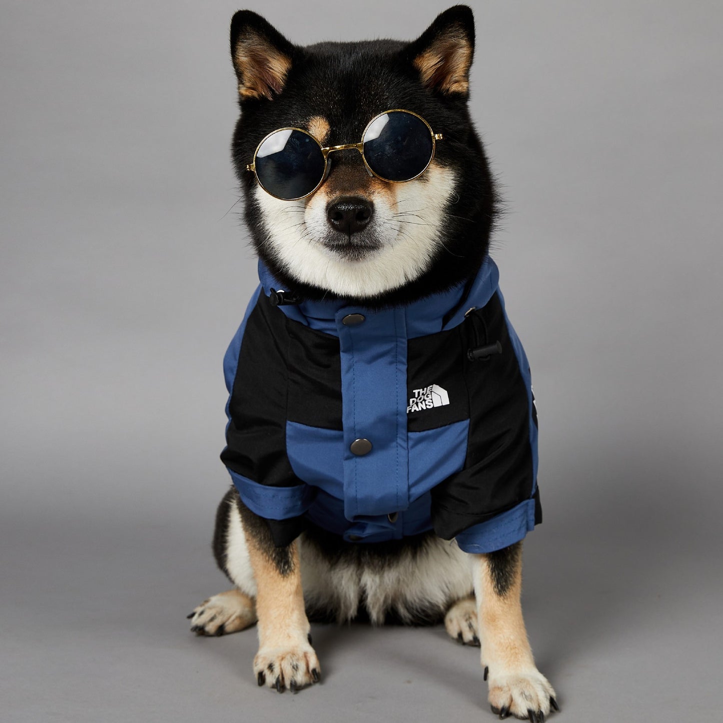 Veste imperméable coupe-vent et imperméable pour grands chiens