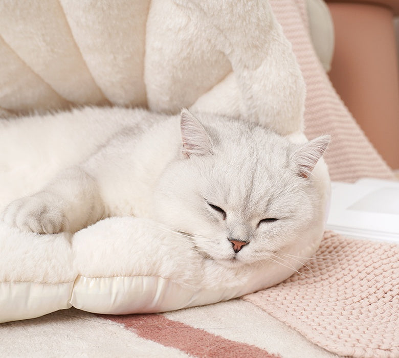 Cama para gatos pequeña para mantenerse caliente en invierno