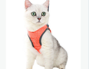 Gilet anti-chute en éponge, corde de traction pour chat