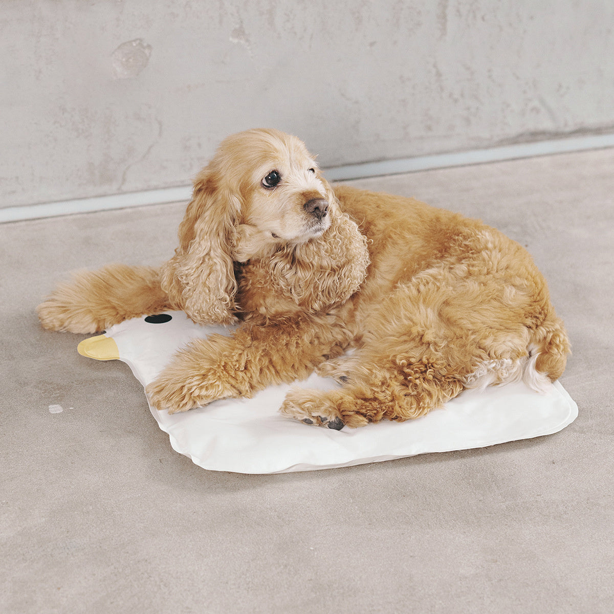 Tapis de refroidissement lavable pour poussin, tapis antiadhésif pour chiots, tapis de couchage pour animaux de compagnie, tapis pour animaux de compagnie abaissant la température pour lit intérieur, sol, voiture, maison