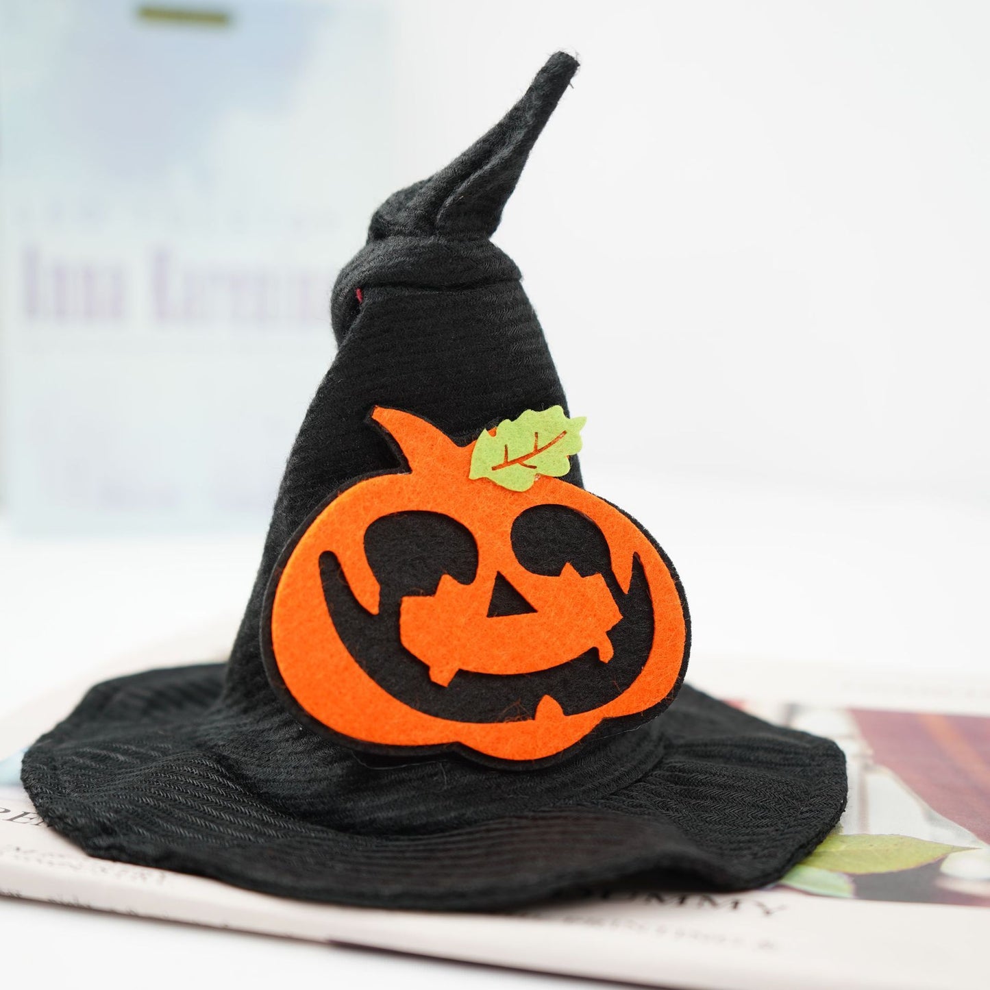 Transfórmate en un sombrero de Halloween creativo y mágico para mascotas