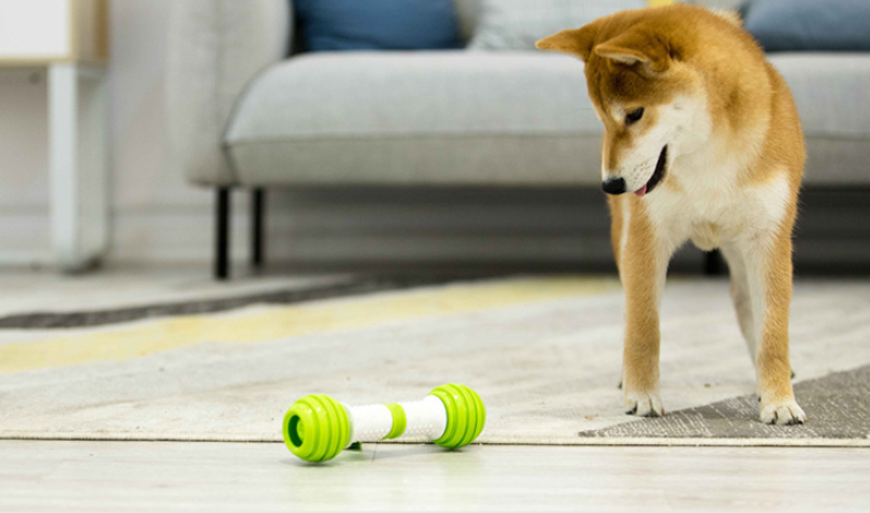 Jouet automatique électrique pour chien Guiwei Happy Bone