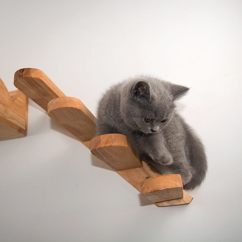 Gatos que suben escaleras en paredes de madera maciza, trampolines de madera de caucho y juguetes para escaleras 