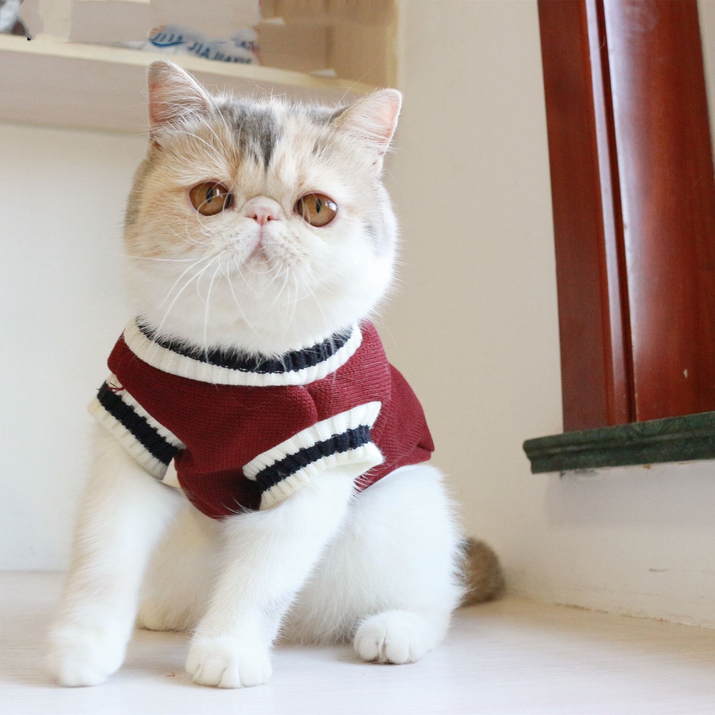 Gilet sans manches en tricot de chat polaire de style collège américain