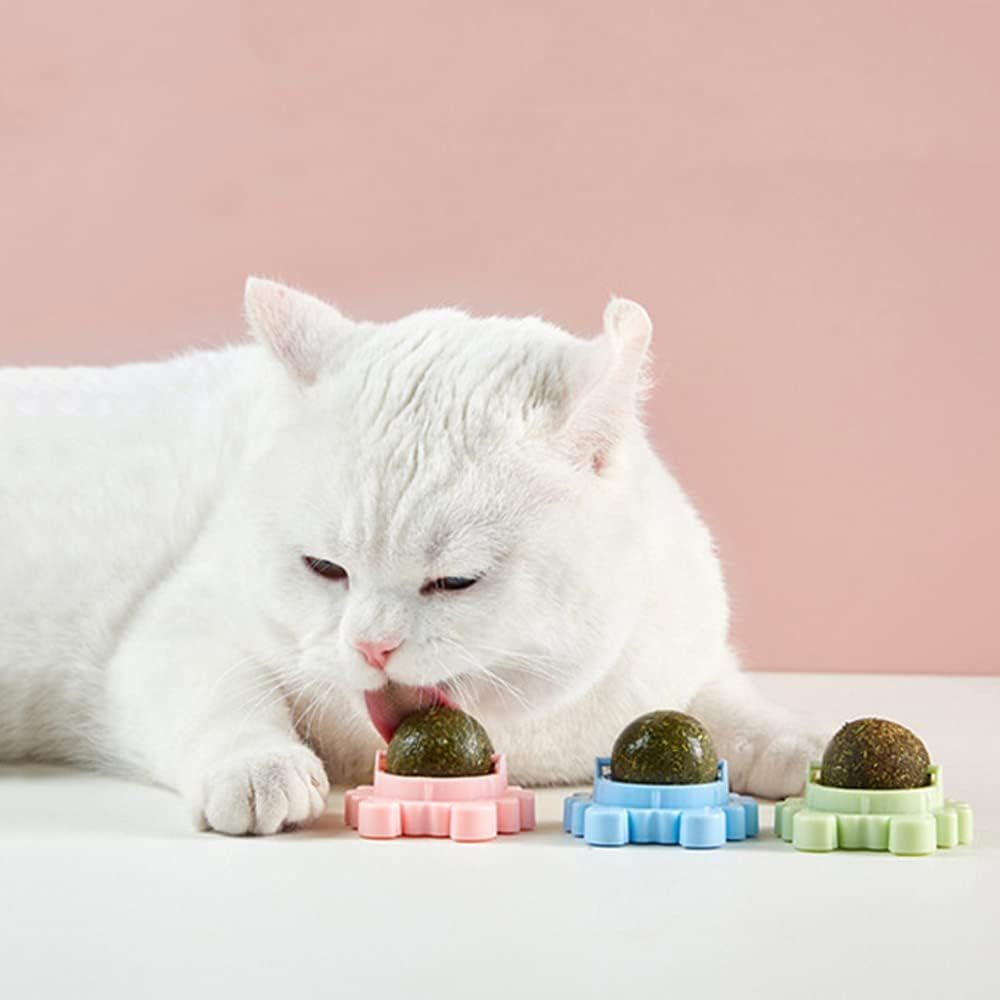 Boule murale à l'herbe à chat, jouet comestible à lécher pour chat, jouet à mâcher pour chat, nettoyage des dents, jouet à mordre pour chat, jouet d'intérieur rotatif pour chat, décoration murale pour chat