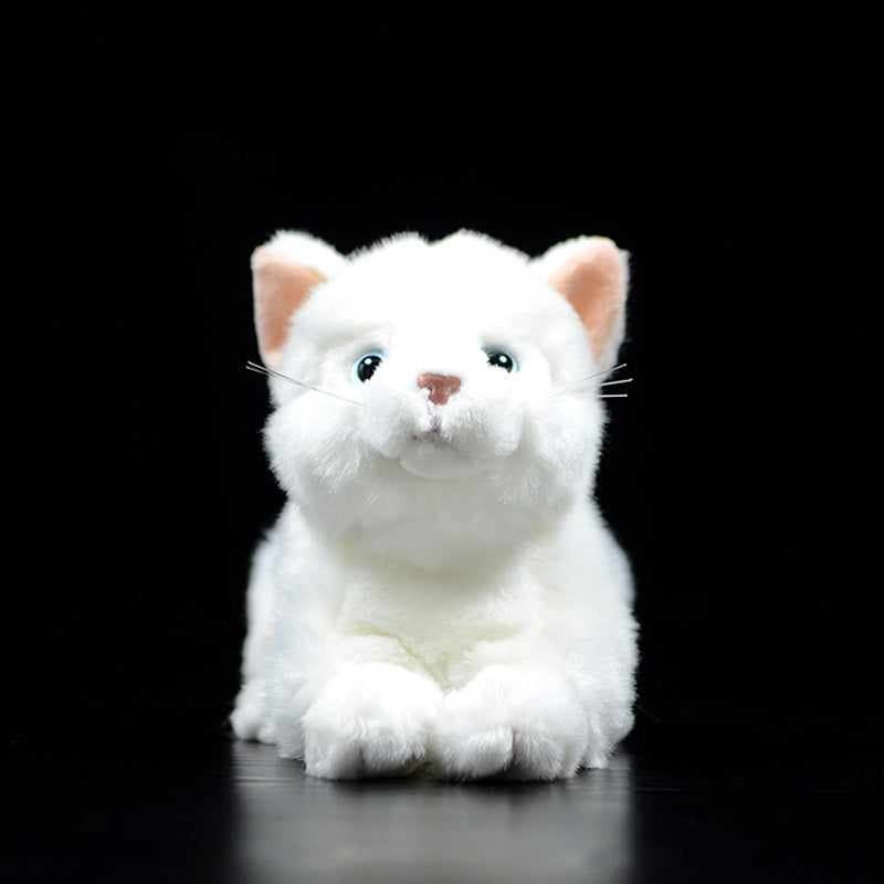 Peluche chat blanc pur mignon