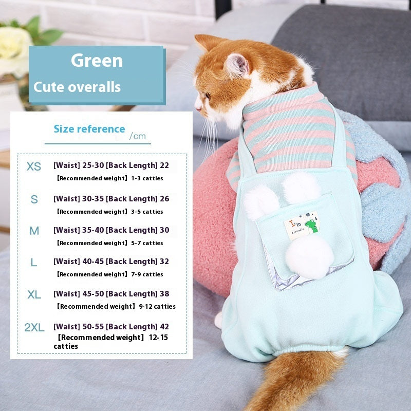 Vêtements chauds et mignons pour chat et animal de compagnie anti-peluches à quatre pattes