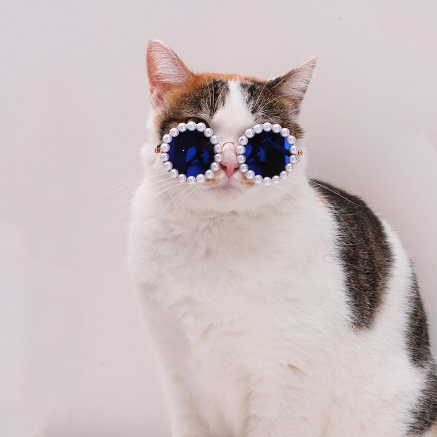 Cat And Dog Pearl Sunglasses - Pet Extravagant Funny Cute Dress Up Costume Accessories For Party