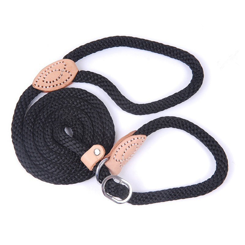 Laisse pour chien de dressage intégrée avec collier de traction