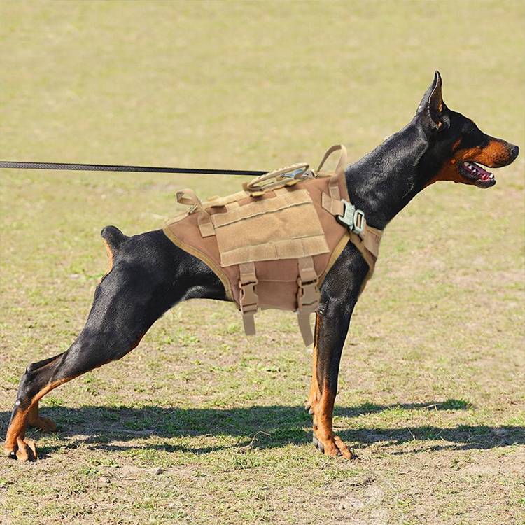 Malinois perro grande perro mano sujetando cuerda pecho chaleco ropa de combate correa para perro mochila para perro correas de entrenamiento especiales para salir