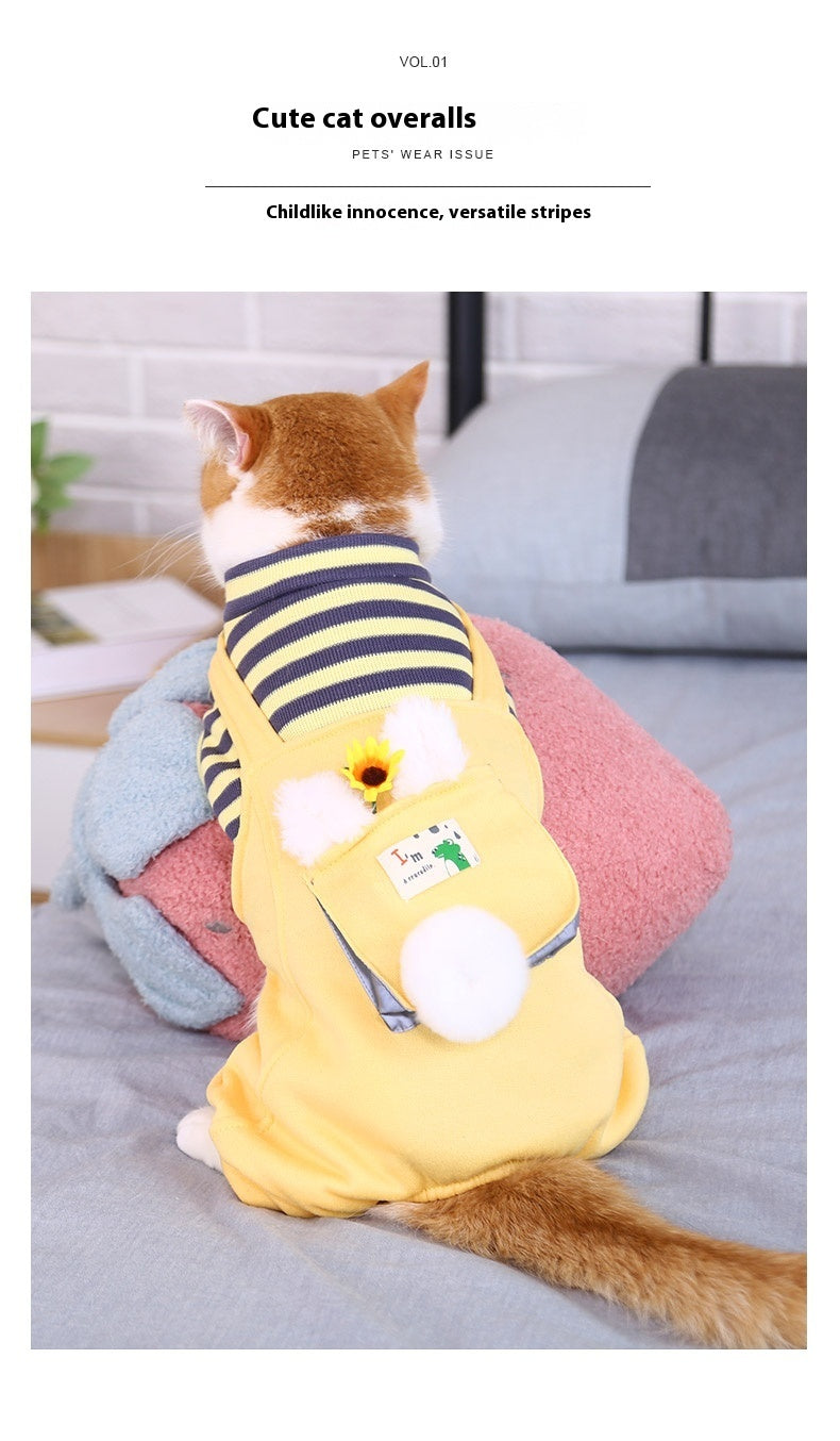 Vêtements chauds et mignons pour chat et animal de compagnie anti-peluches à quatre pattes